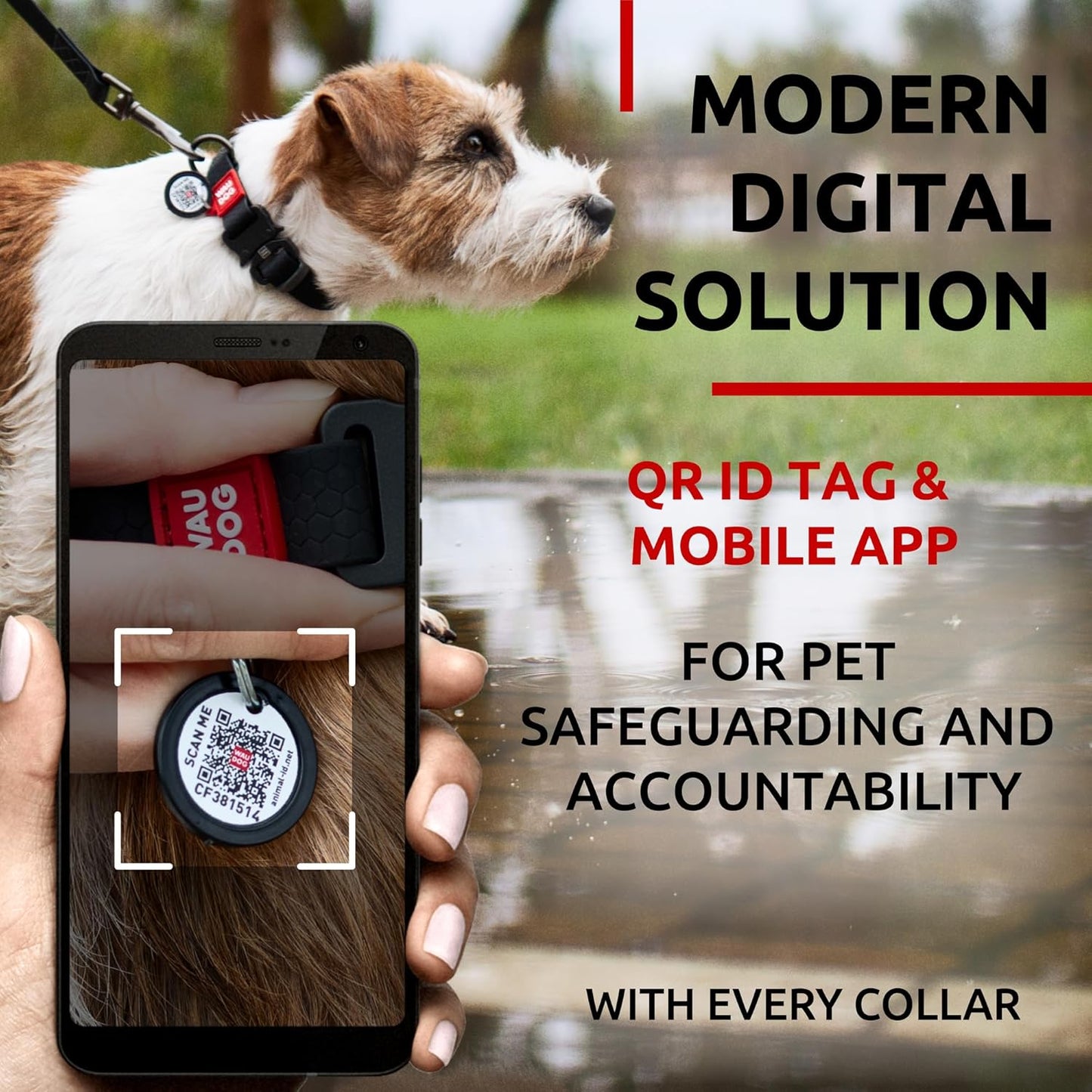 Waterproof Dog Collar - Adjustable Glow Dog Collar for Large Dogs, Small and Medium Dogs - Heavy Duty Dog Collars with Durable Metal Clasp and QR Dog Tag - Glow in The Dark Dog Collars - PuriLite