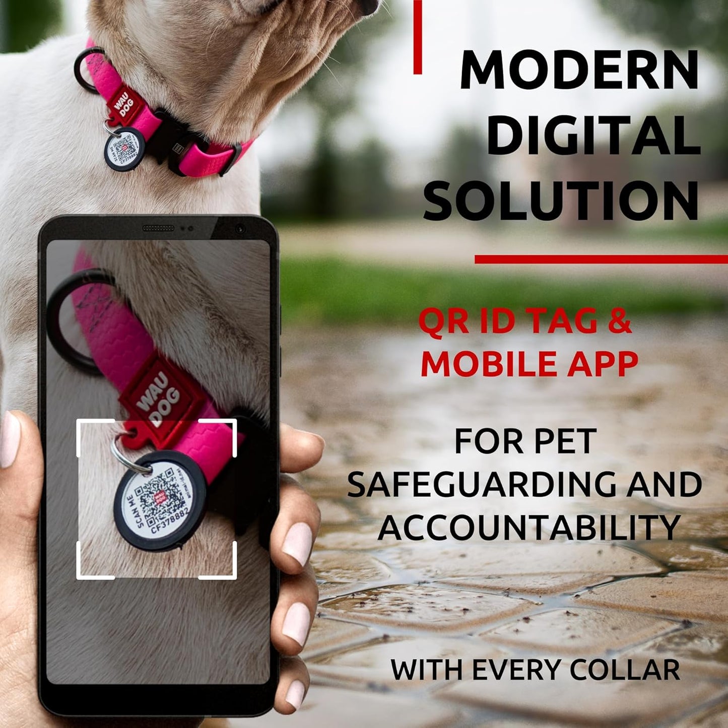 Waterproof Dog Collar - Adjustable Glow Dog Collar for Large Dogs, Small and Medium Dogs - Heavy Duty Dog Collars with Durable Metal Clasp and QR Dog Tag - Glow in The Dark Dog Collars - PuriLite