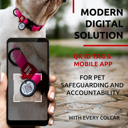 Waterproof Dog Collar - Adjustable Glow Dog Collar for Large Dogs, Small and Medium Dogs - Heavy Duty Dog Collars with Durable Metal Clasp and QR Dog Tag - Glow in The Dark Dog Collars - PuriLite