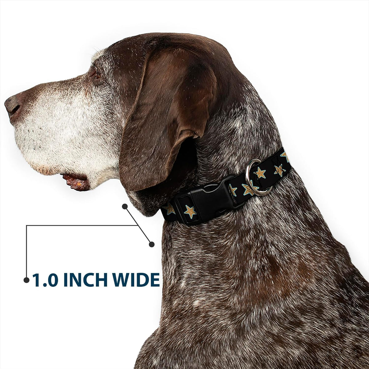 Buckle-Down PC-W21909-M Dog Collar Plastic Clip Buckle, 1"x11"-17", Star Black/White - PuriLite