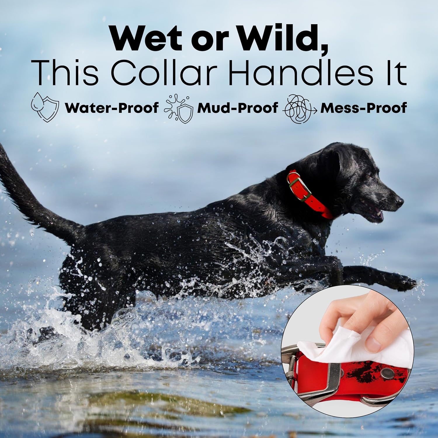Regal Dog Products Small Orange Waterproof Dog Collar and Leash Set - Vinyl Coated, Biothane Puppy Pet Training Collar with Heavy Duty Center Ring & 5'ft Leash - Other Sizes for Medium & Large Dogs - PuriLite
