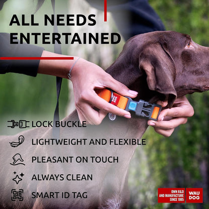 Waterproof Dog Collar - Adjustable Glow Dog Collar for Large Dogs, Small and Medium Dogs - Heavy Duty Dog Collars with Durable Metal Clasp and QR Dog Tag - Glow in The Dark Dog Collars - PuriLite