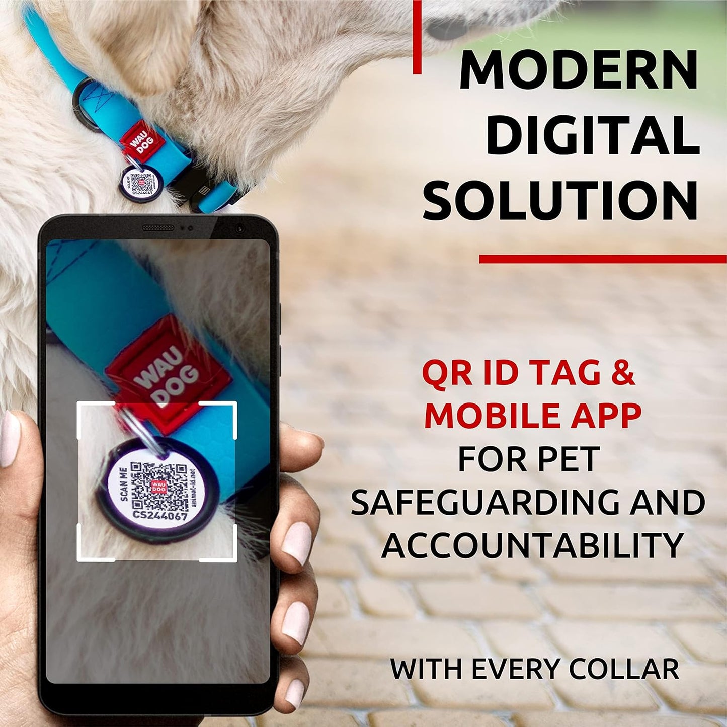 Waterproof Dog Collar - Adjustable Glow Dog Collar for Large Dogs, Small and Medium Dogs - Heavy Duty Dog Collars with Durable Metal Clasp and QR Dog Tag - Glow in The Dark Dog Collars - PuriLite
