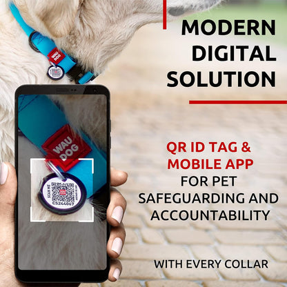 Waterproof Dog Collar - Adjustable Glow Dog Collar for Large Dogs, Small and Medium Dogs - Heavy Duty Dog Collars with Durable Metal Clasp and QR Dog Tag - Glow in The Dark Dog Collars - PuriLite