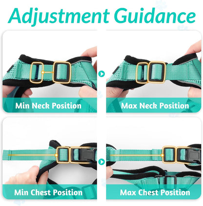 rabbitgoo Cat Harness and Leash for Walking, Escape Proof Soft Adjustable Vest Harnesses for Small Medium Cats, Easy Control Breathable Reflective Strips Jacket, XS, Black - PuriLite