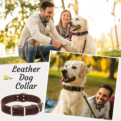 ADITYNA Heavy-Duty Leather Dog Collar for Medium Dogs - Soft and Strong, 100% Genuine Leather - Collier Pour Chien (Medium: Fit 13" - 20" Neck, Brown) - PuriLite