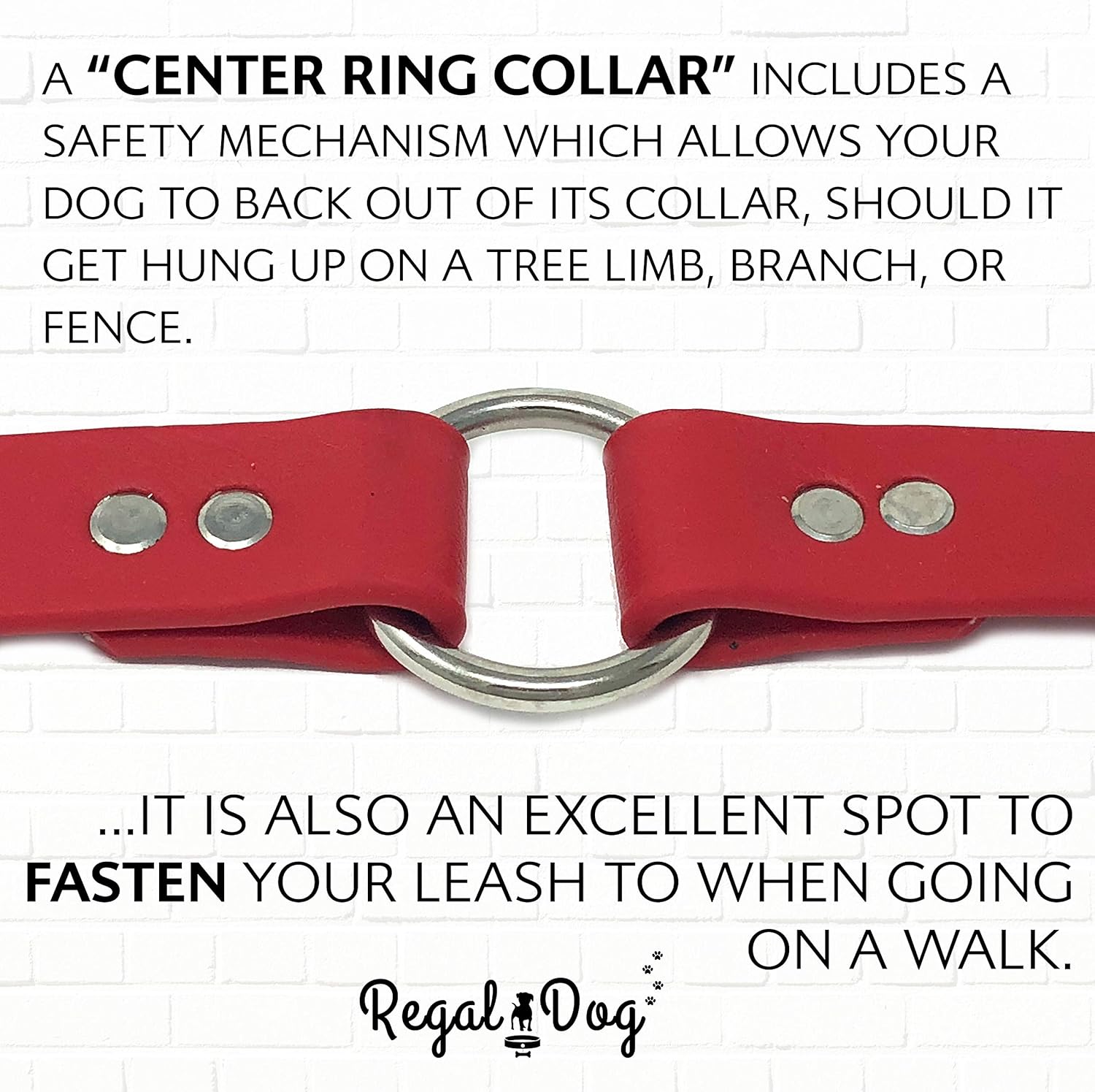 Regal Dog Products Small Orange Waterproof Dog Collar and Leash Set - Vinyl Coated, Biothane Puppy Pet Training Collar with Heavy Duty Center Ring & 5'ft Leash - Other Sizes for Medium & Large Dogs - PuriLite