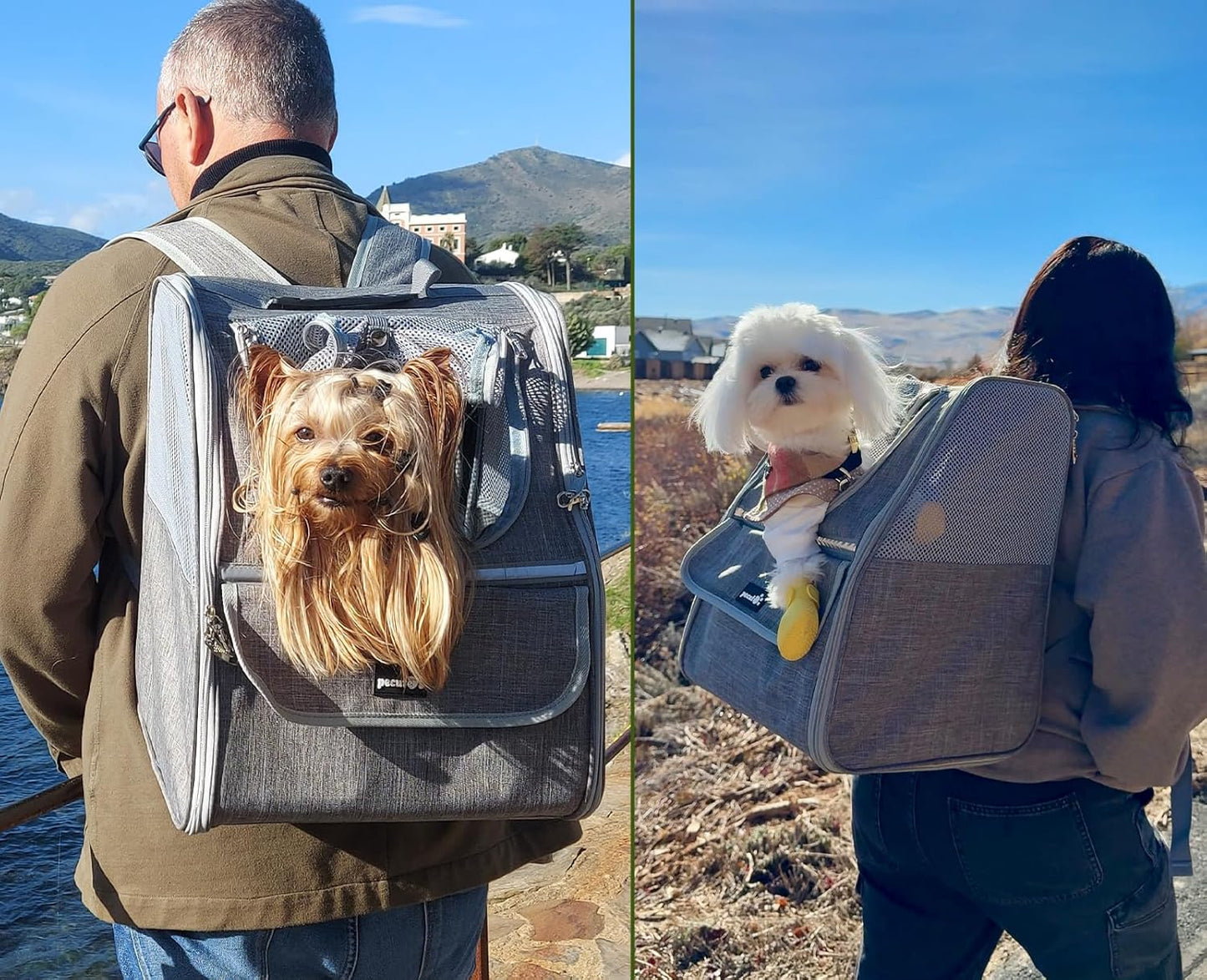 Pecute Expandable Cat Backpack Carrier, Small Dog Backpack Carrier, Pet Backpack Carriers for Cats Dogs Puppy Kitten, Cat Carriers Bag Carrying for Travel Hiking Bike Riding Walking Outdoor,Grey - PuriLite
