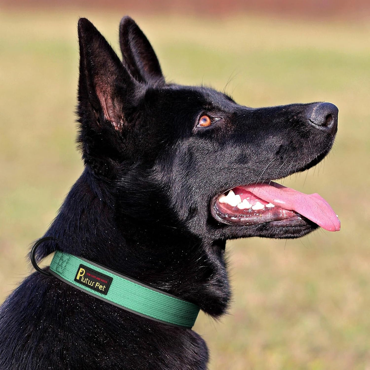 Plutus Pet Tactical Dog Collar, Reflective, Adjustable Heavy Duty Dog Collar, Soft Padded and Comfortable, for Small Medium and Large Dogs (Red, L) - PuriLite