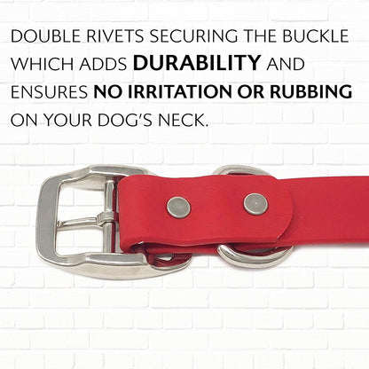 Regal Dog Products Medium Orange Dog Collar with Heavy Duty Double Buckle & D Ring | Vinyl Coated, Custom Fit, Adjustable Biothane Dog Collar Chew Resistant Waterproof Center-Ring Collar for Dogs - PuriLite