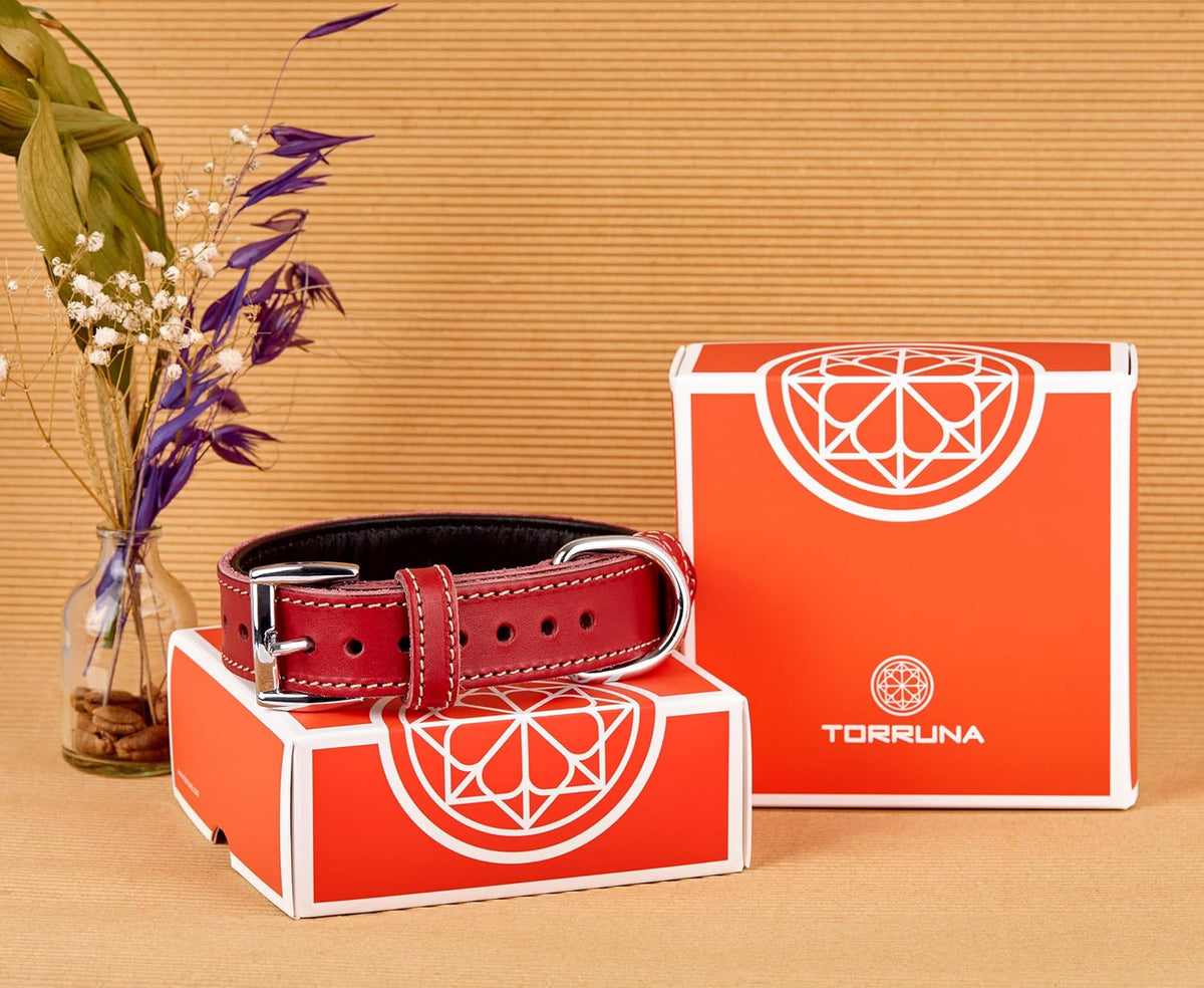 TORRUNA Soft Leather Dog Collar | Dog Collars for Small, Medium and Large Dogs | Durable Heavy Duty Dog Collars - PuriLite