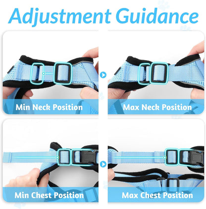 rabbitgoo Cat Harness and Leash for Walking, Escape Proof Soft Adjustable Vest Harnesses for Small Medium Cats, Easy Control Breathable Reflective Strips Jacket, XS, Black - PuriLite