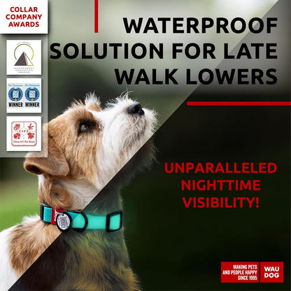 Waterproof Dog Collar - Adjustable Glow Dog Collar for Large Dogs, Small and Medium Dogs - Heavy Duty Dog Collars with Durable Metal Clasp and QR Dog Tag - Glow in The Dark Dog Collars - PuriLite