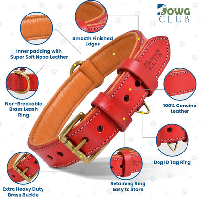 DowgClub | Genuine Leather Dog Collar | Full Grain, Heavy Duty | Comfortable, Strong | Best for Pups, Small, Medium & Large Breeds | Pink, Brown, Black, Tan - PuriLite
