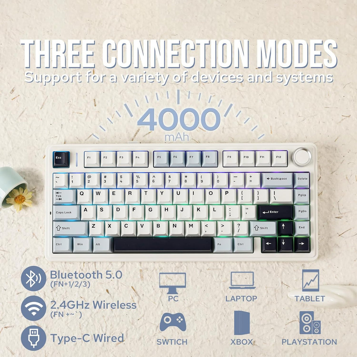 EPOMAKER x Aula F75 Gasket Mechanical Keyboard, 75% Wireless Hot Swappable Gaming Keyboard with Five-Layer Padding&Knob, Bluetooth/2.4GHz/USB-C, RGB (Black Gradient, LEOBOG Reaper Switch) - PuriLite