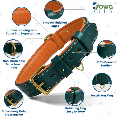 DowgClub | Genuine Leather Dog Collar | Full Grain, Heavy Duty | Comfortable, Strong | Best for Pups, Small, Medium & Large Breeds | Pink, Brown, Black, Tan - PuriLite