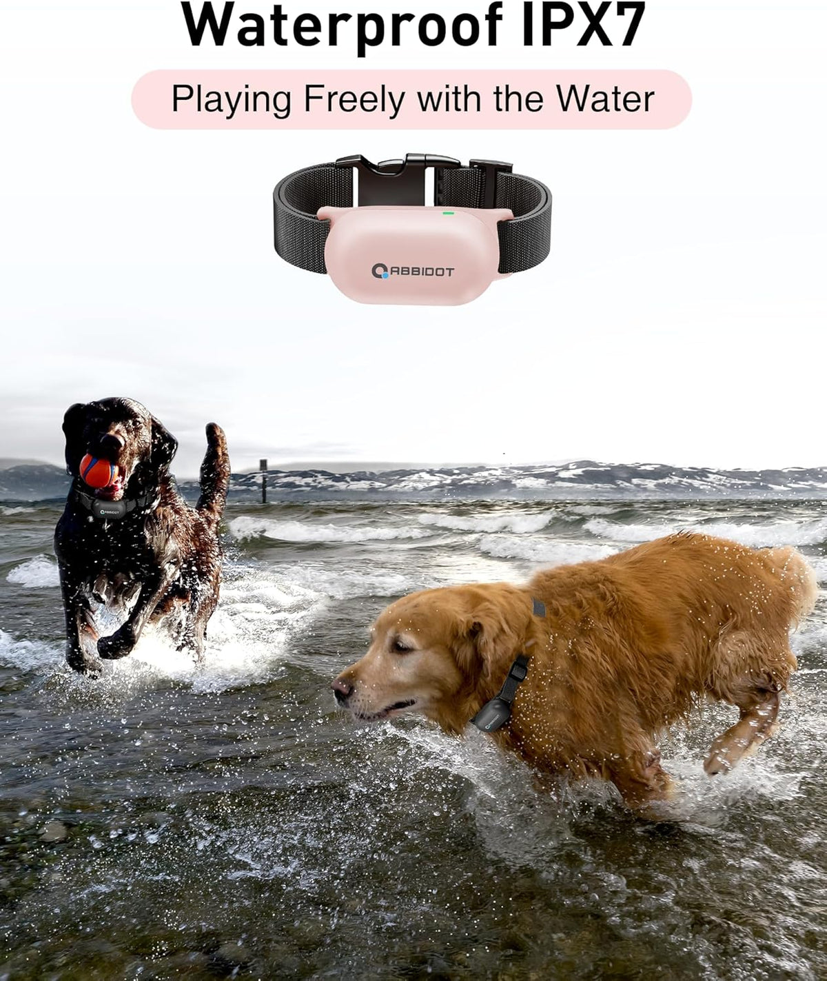 ABBIDOT Shock Collar (8-120 lbs) - Small Size Dog Training Collar with Remote Waterproof Rechargeable Dog Shock Collar with Remote E Collar for Small Medium Large Dogs - PuriLite