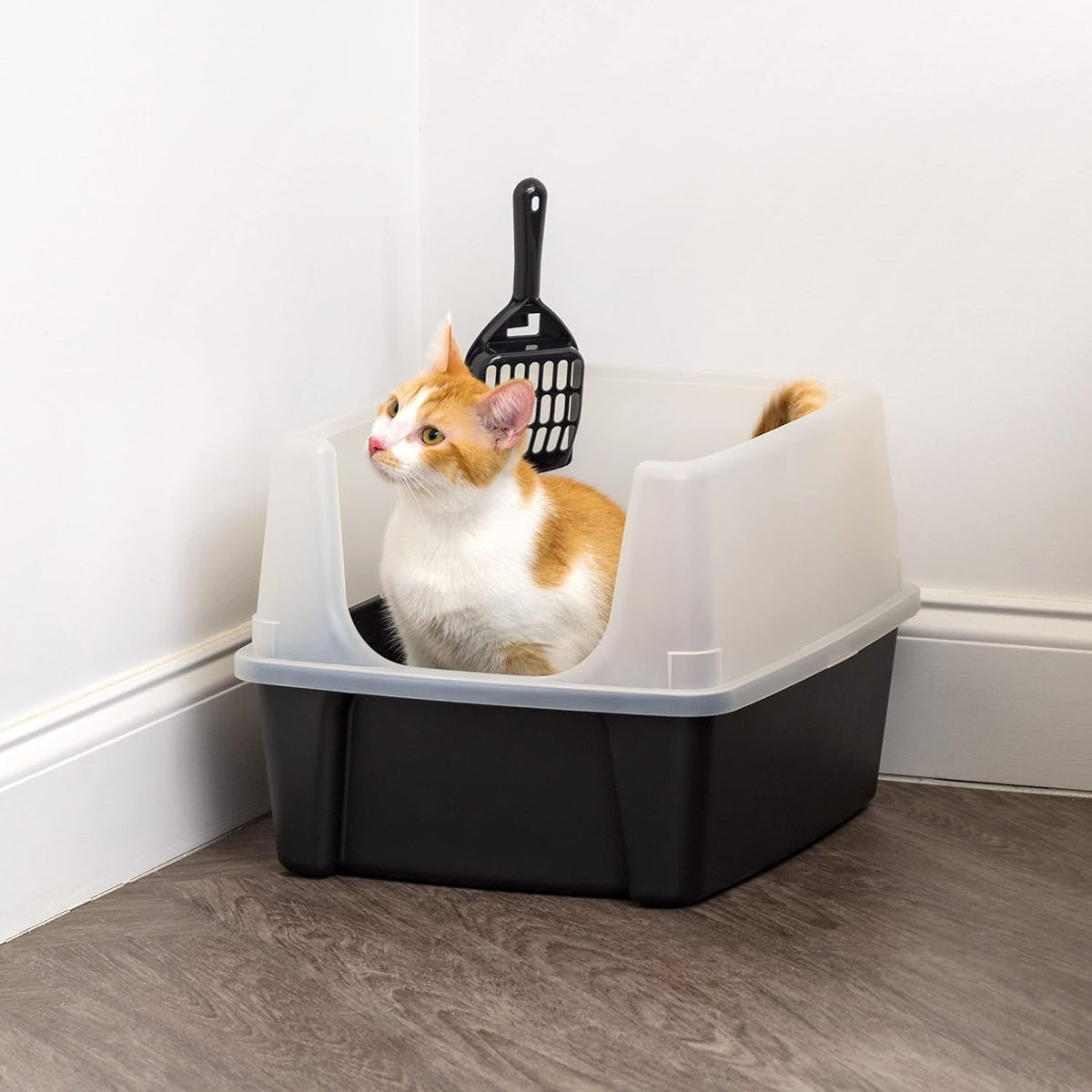 IRIS USA Large Cat Litter Box with Scoop, Open Top Cat Litter Pan, Black - PuriLite