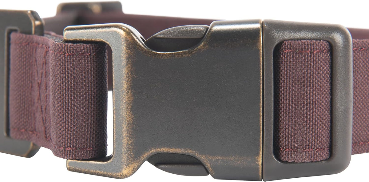 Carhartt Journeyman Dog Collar, Premium Rugged Construction Pet Collar - PuriLite