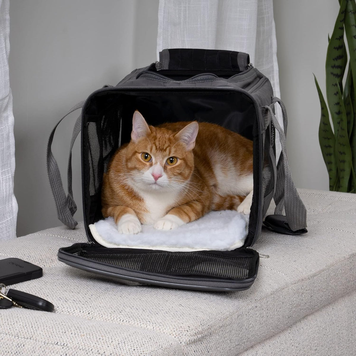 Sherpa Original Deluxe Travel Bag Pet Carrier, Airline Approved & Guaranteed-On-Board - Mesh Panels & Spring Frame, Locking Safety Zippers, Machine Washable Liner - Charcoal Gray, Medium - PuriLite