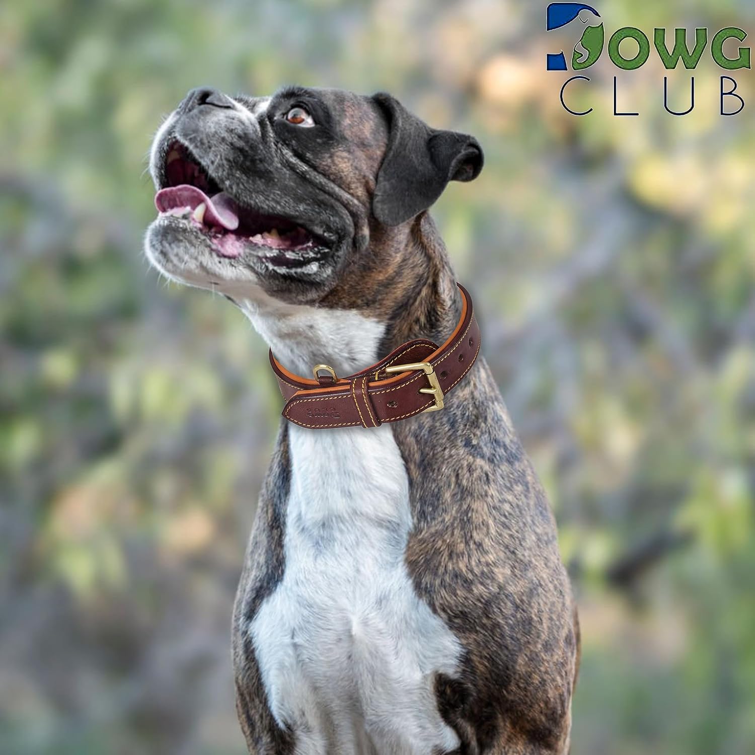 DowgClub | Genuine Leather Dog Collar | Full Grain, Heavy Duty | Comfortable, Strong | Best for Pups, Small, Medium & Large Breeds | Pink, Brown, Black, Tan - PuriLite