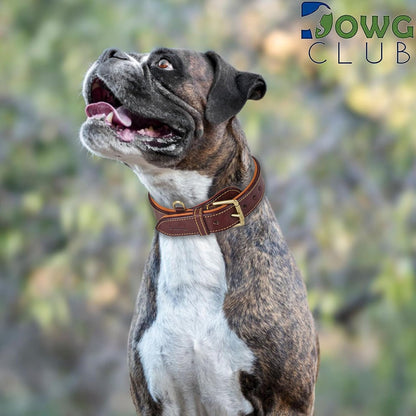 DowgClub | Genuine Leather Dog Collar | Full Grain, Heavy Duty | Comfortable, Strong | Best for Pups, Small, Medium & Large Breeds | Pink, Brown, Black, Tan - PuriLite