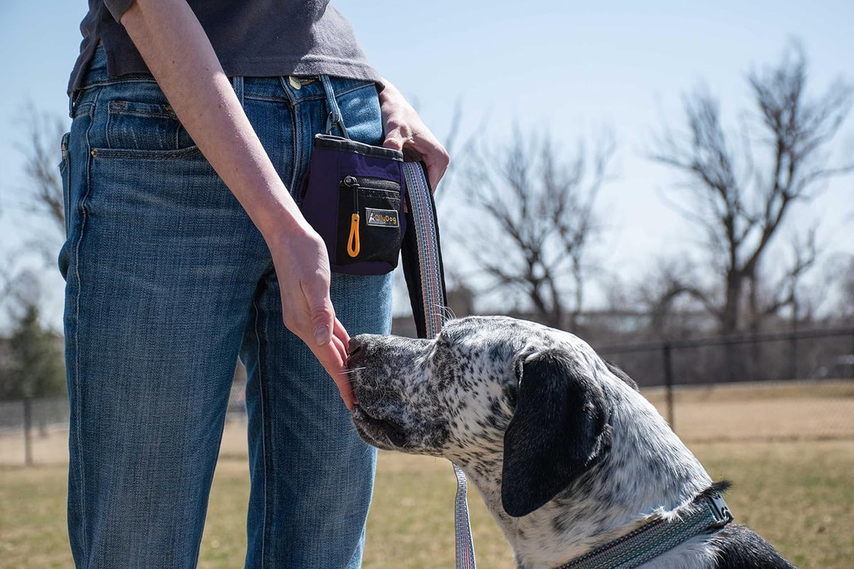 OllyDog Goodie Treat Bag, Dog Treat Pouch, Waist Belt Clip for Hands-Free Training, Magnetic Closure, Dog Training and Behavior Aids, Three Ways to Wear (Wet Weather) - PuriLite