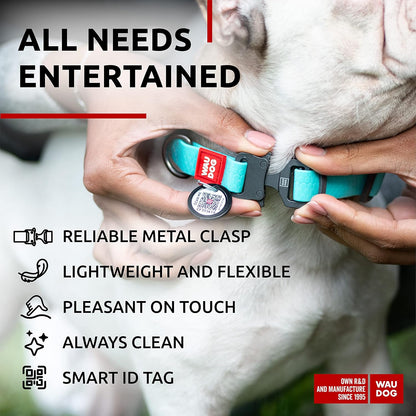 Waterproof Dog Collar - Adjustable Glow Dog Collar for Large Dogs, Small and Medium Dogs - Heavy Duty Dog Collars with Durable Metal Clasp and QR Dog Tag - Glow in The Dark Dog Collars - PuriLite