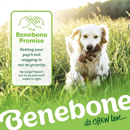 Benebone 4-Pack Durable Dog Chew Toys for Aggressive Chewers, Real Flavors, Made in USA, Medium - PuriLite