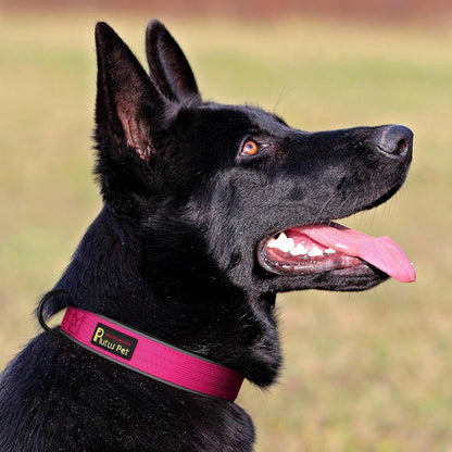 Plutus Pet Tactical Dog Collar, Reflective, Adjustable Heavy Duty Dog Collar, Soft Padded and Comfortable, for Small Medium and Large Dogs (Red, L) - PuriLite