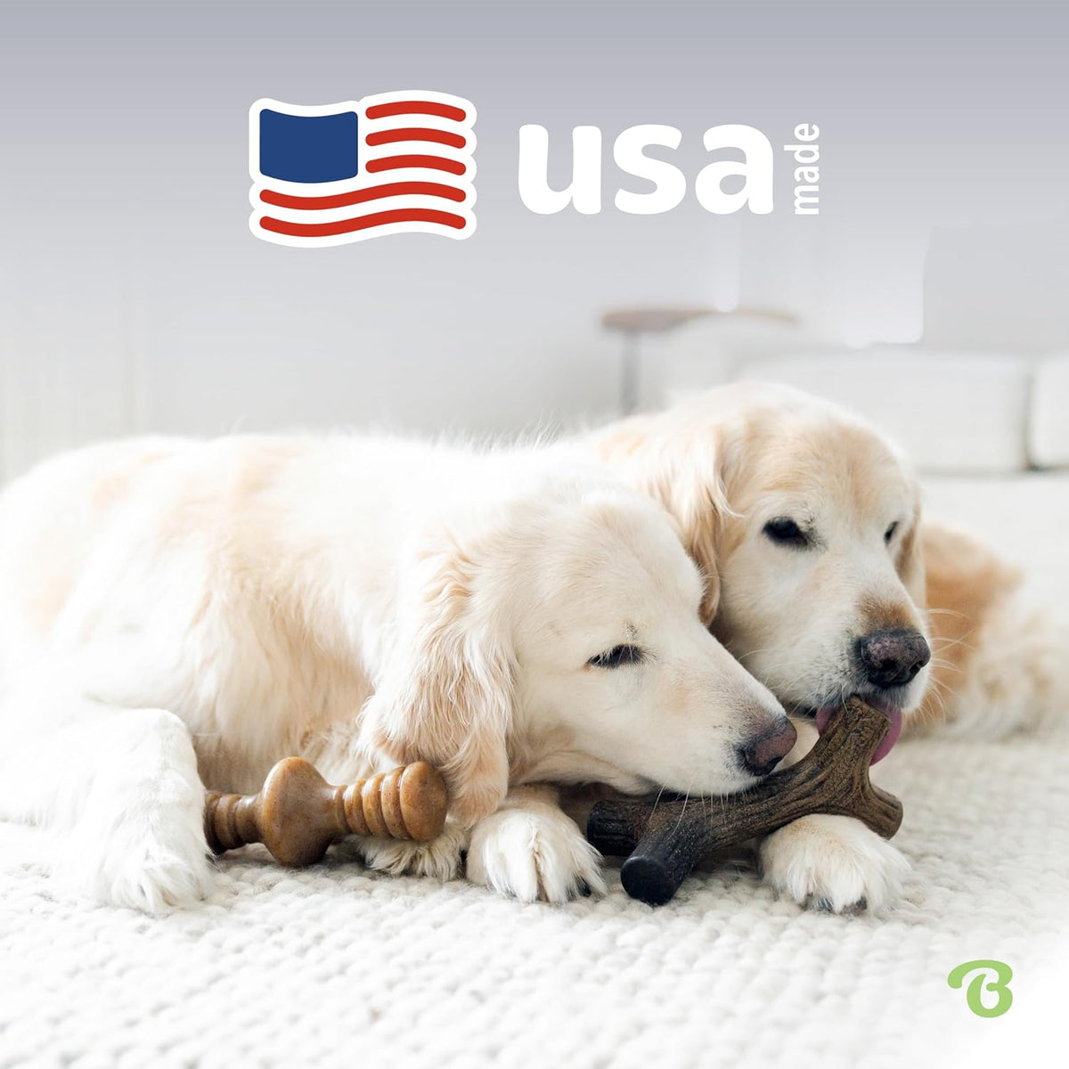 Benebone 4-Pack Durable Dog Chew Toys for Aggressive Chewers, Real Flavors, Made in USA, Medium - PuriLite