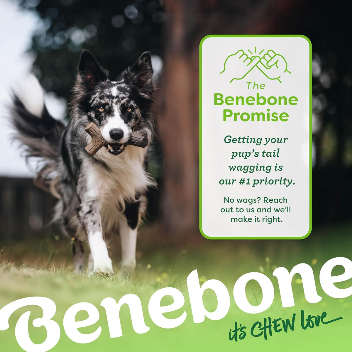Benebone 4-Pack Durable Dog Chew Toys for Aggressive Chewers, Real Flavors, Made in USA, Medium - PuriLite