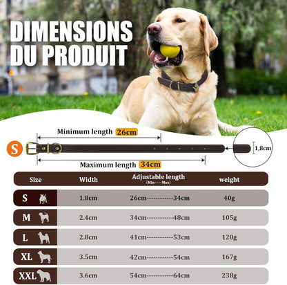QRDA Leather Dog Collar Brown Dog Training Collar Heavy Duty Premium Leather Dog Collar Dog Collars for Medium/Large Dogs - PuriLite
