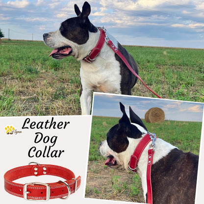 ADITYNA Heavy-Duty Leather Dog Collar for Medium Dogs - Soft and Strong, 100% Genuine Leather - Collier Pour Chien (Medium: Fit 13" - 20" Neck, Brown) - PuriLite