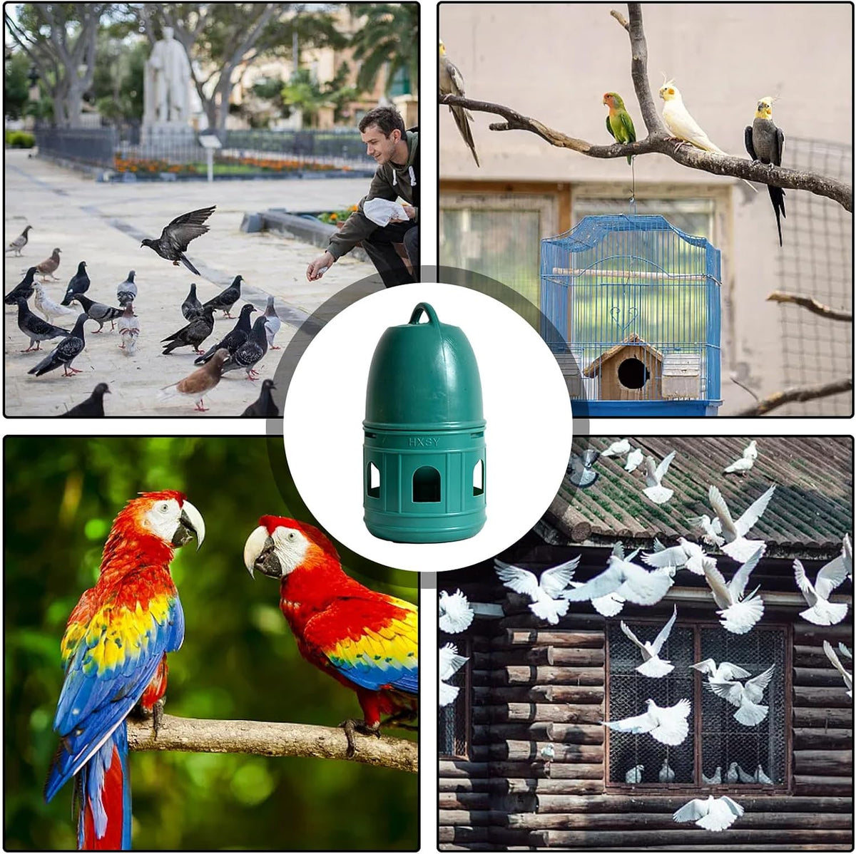 Pigeon Water Feeder Large Capacity Wide Opening Top Handle Pet Supplies