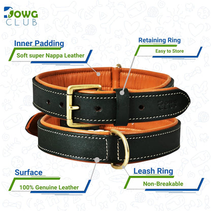 DowgClub | Genuine Leather Dog Collar | Full Grain, Heavy Duty | Comfortable, Strong | Best for Pups, Small, Medium & Large Breeds | Pink, Brown, Black, Tan - PuriLite