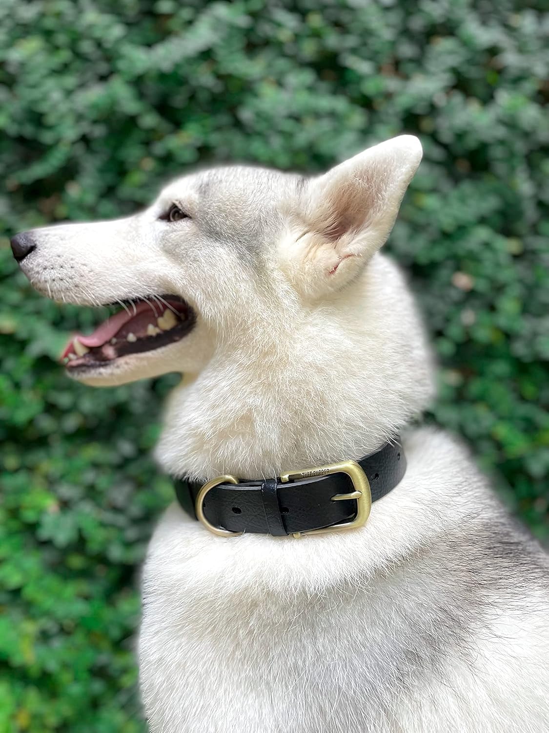 Tuff Pupper Classic Heavy Duty Dog Collar | 10x Stronger Than Leather | 100% Waterproof & Odor Proof Dog Collar | Tough Rust-Proof All Metal Hardware - PuriLite