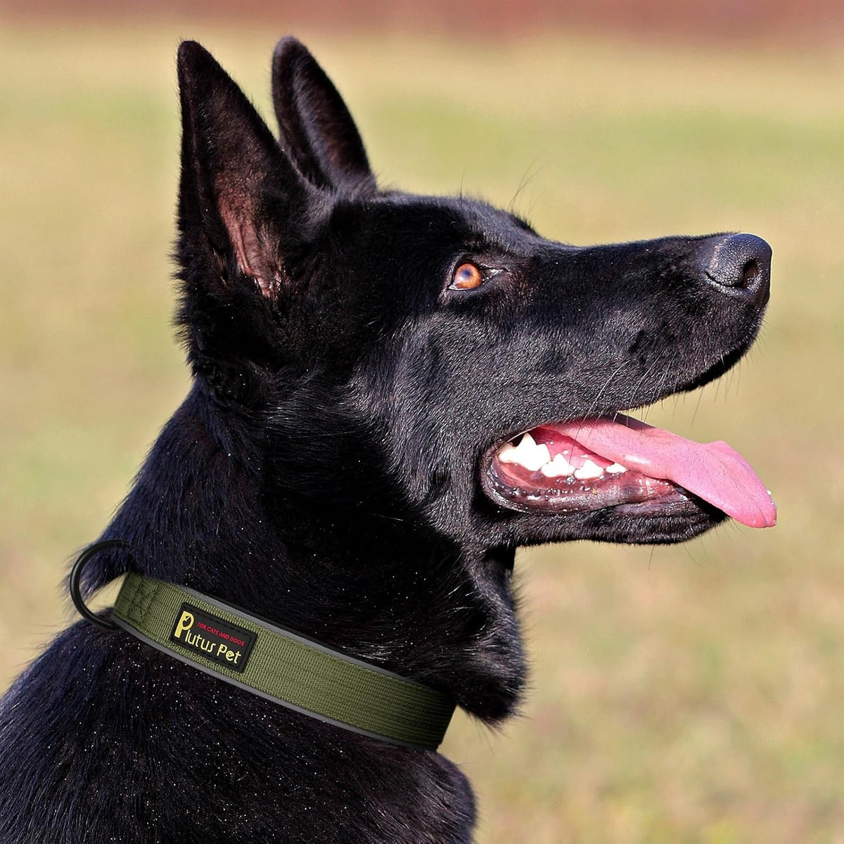 Plutus Pet Tactical Dog Collar, Reflective, Adjustable Heavy Duty Dog Collar, Soft Padded and Comfortable, for Small Medium and Large Dogs (Red, L) - PuriLite