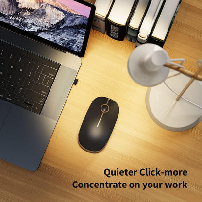 Wireless Mouse, Vssoplor 2.4G Slim Portable Computer Mice with Nano Receiver for Notebook, PC, Laptop, Computer (Black and Gray) - PuriLite