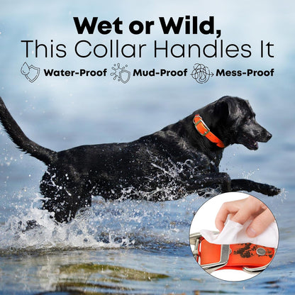 Regal Dog Products Large Pink Waterproof Hunting Dog Collar with Heavy Duty Black Hardware Buckle & D Ring | Custom Fit Vinyl-Coated Webbing Water Resistant Collar for Small, Medium & Large Dogs - PuriLite