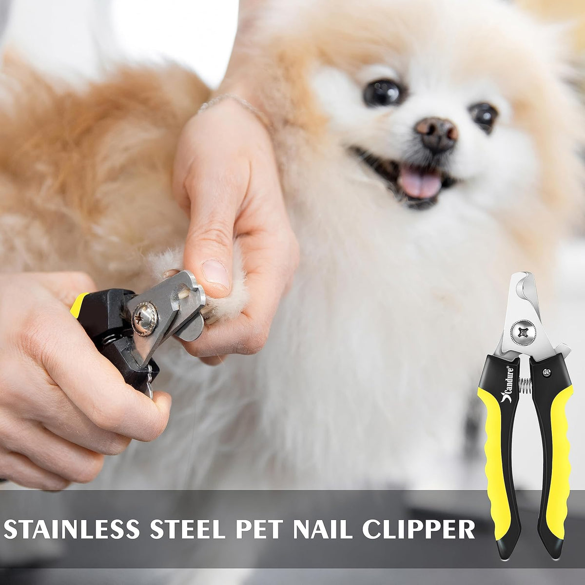 Candure Cat Nail Clippers Stainless Steel Cat Claw Trimmers for Rabbits,Guinea Pigs, Birds, Puppies, Kittens and Small Animals- Pet Nail Clippers for Professional and Home Use (Black) - PuriLite