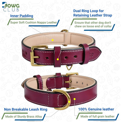 DowgClub | Genuine Leather Dog Collar | Full Grain, Heavy Duty | Comfortable, Strong | Best for Pups, Small, Medium & Large Breeds | Pink, Brown, Black, Tan - PuriLite