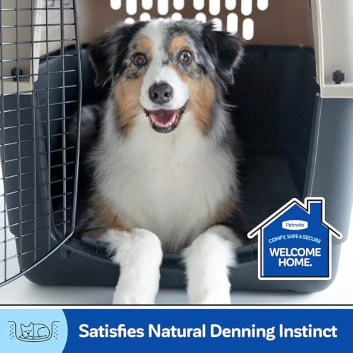Petmate 00200 Sky Kennel for Pets from 25 to 30-Pound, Light Gray - PuriLite