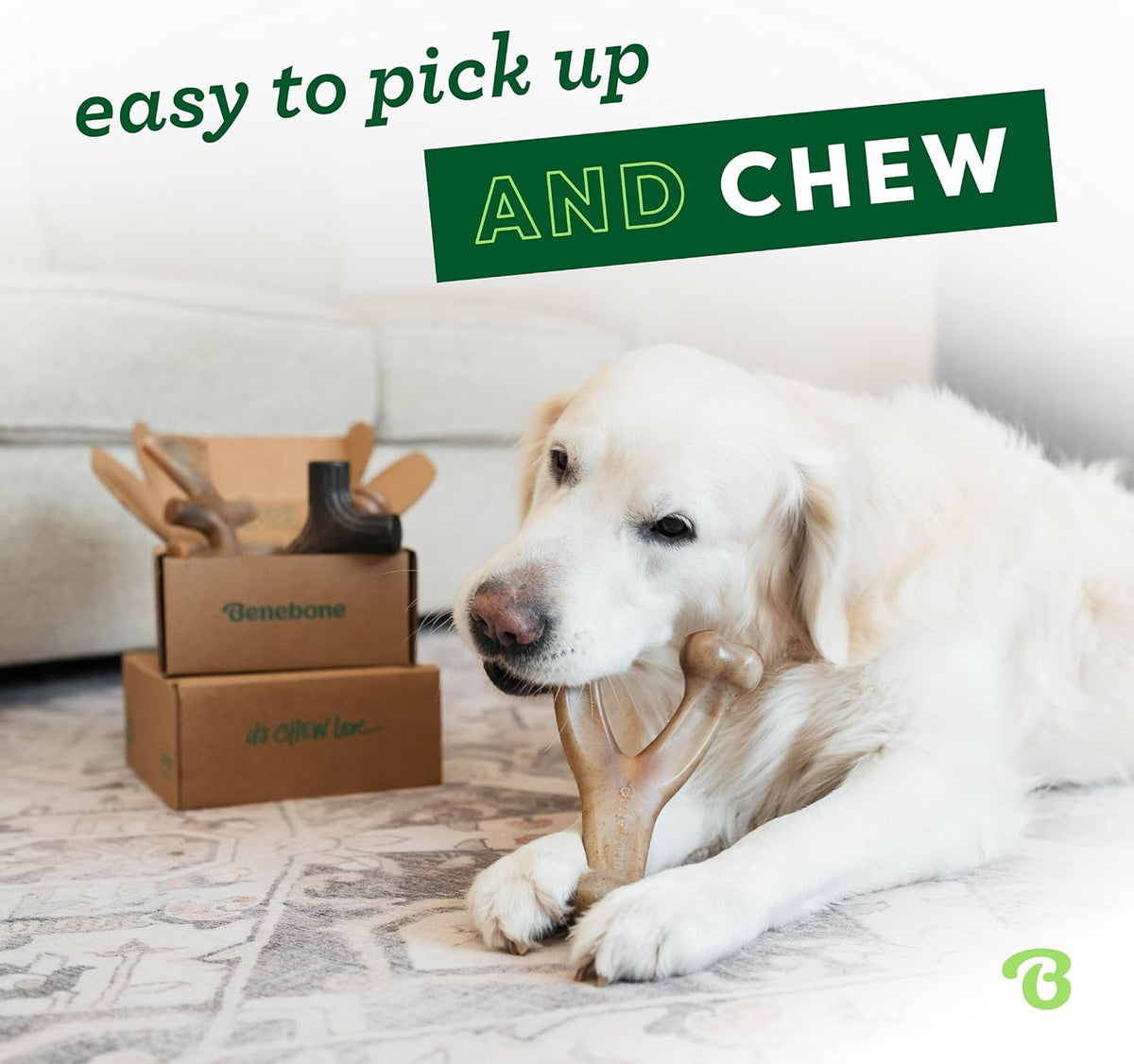 Benebone 4-Pack Durable Dog Chew Toys for Aggressive Chewers, Real Flavors, Made in USA, Medium - PuriLite