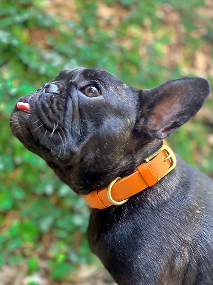 Tuff Pupper Classic Heavy Duty Dog Collar | 10x Stronger Than Leather | 100% Waterproof & Odor Proof Dog Collar | Tough Rust-Proof All Metal Hardware - PuriLite