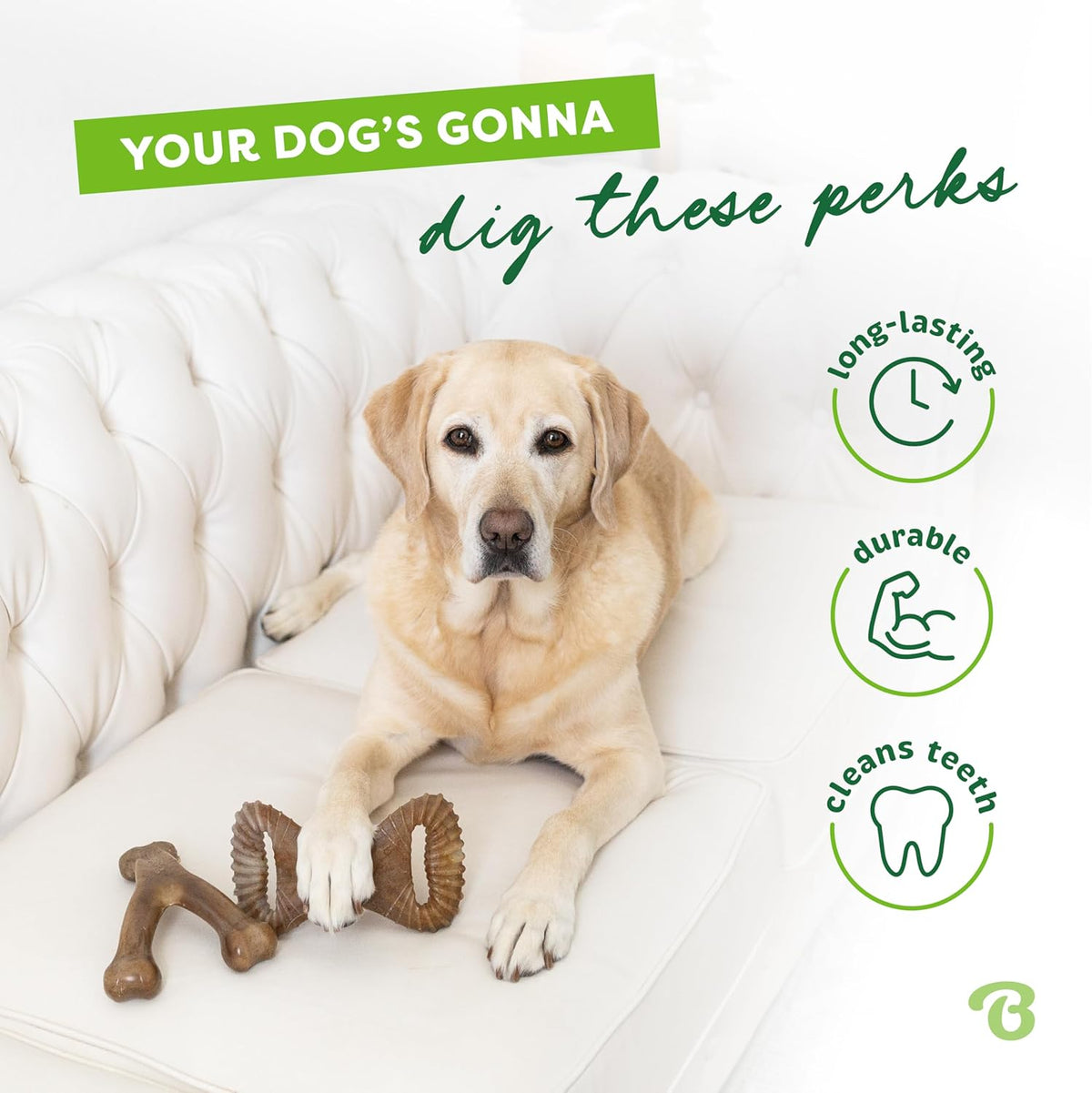 Benebone 4-Pack Durable Dog Chew Toys for Aggressive Chewers, Real Flavors, Made in USA, Medium - PuriLite