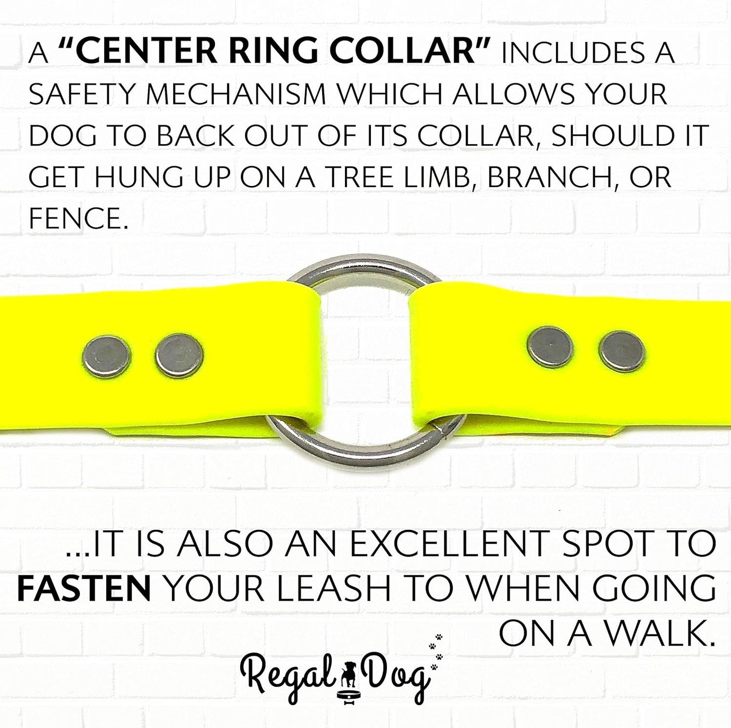 Regal Dog Products Small Orange Waterproof Dog Collar and Leash Set - Vinyl Coated, Biothane Puppy Pet Training Collar with Heavy Duty Center Ring & 5'ft Leash - Other Sizes for Medium & Large Dogs - PuriLite