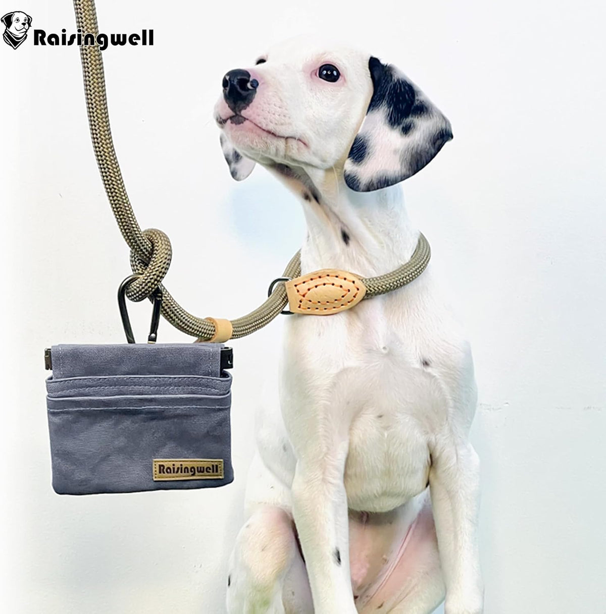 Raisingwell Dog Treat Pouch, Black Pocket Sized Pet Training Pouch, Cotton Fabric, Hand Free Dog Walking Bag with Carabiner, Self-Closing Pet Feed Snack Reward, for Pet Puppy Travel or Outdoor Use - PuriLite