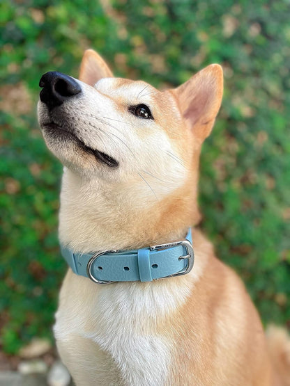 Tuff Pupper Classic Heavy Duty Dog Collar | 10x Stronger Than Leather | 100% Waterproof & Odor Proof Dog Collar | Tough Rust-Proof All Metal Hardware - PuriLite