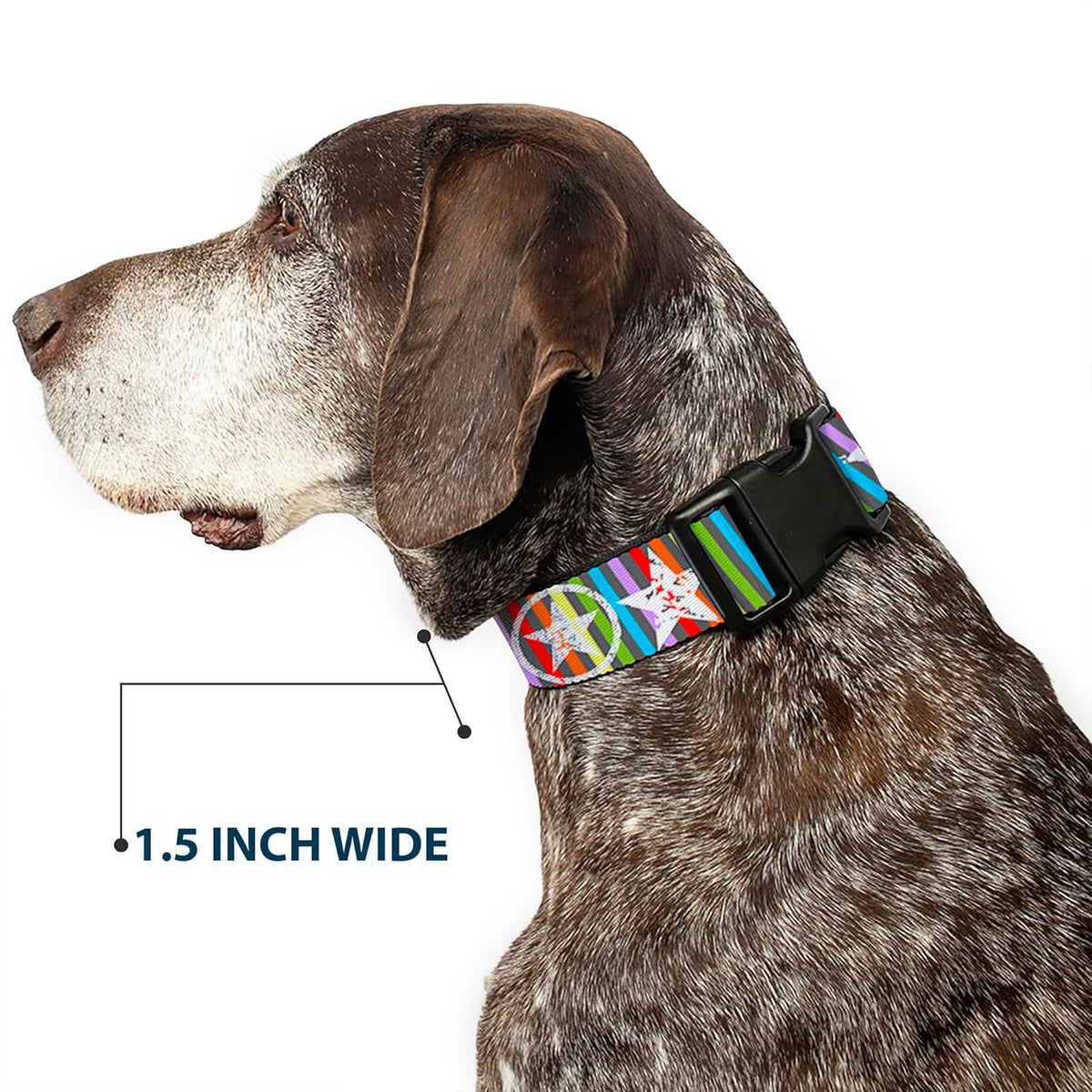 Buckle-Down PC-W21909-M Dog Collar Plastic Clip Buckle, 1"x11"-17", Star Black/White - PuriLite